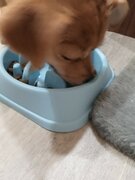 Фото из отзыва пользователя