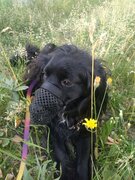 Фото из отзыва пользователя