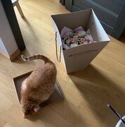 Фото из отзыва пользователя