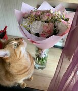 Фото из отзыва пользователя