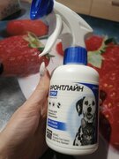 Фото из отзыва пользователя