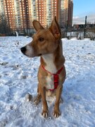 Фото из отзыва пользователя