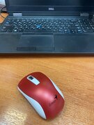 Фото из отзыва пользователя