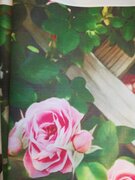 Фото из отзыва пользователя