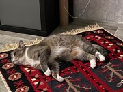 Фото из отзыва пользователя