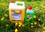 Фото из отзыва пользователя