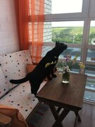 Фото из отзыва пользователя