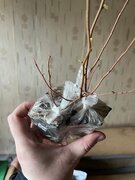Фото из отзыва пользователя