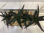 Фото из отзыва пользователя