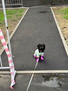 Фото из отзыва пользователя