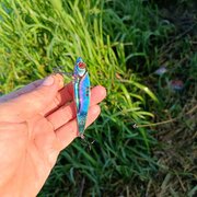 Фото из отзыва пользователя