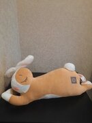 Фото из отзыва пользователя