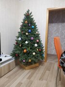 Фото из отзыва пользователя