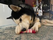 Фото из отзыва пользователя