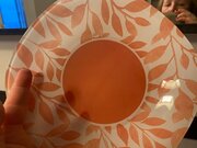 Фото из отзыва пользователя