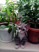 Фото из отзыва пользователя