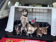 Фото из отзыва пользователя