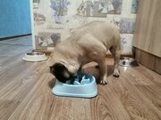 Фото из отзыва пользователя