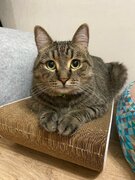 Фото из отзыва пользователя