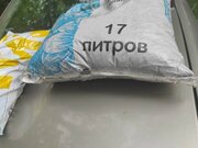 Фото из отзыва пользователя