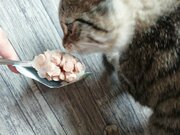 Фото из отзыва пользователя