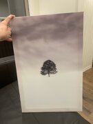 Фото из отзыва пользователя