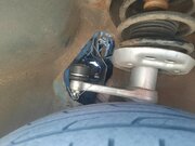 Фото из отзыва пользователя