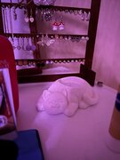 Фото из отзыва пользователя