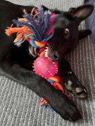 Фото из отзыва пользователя