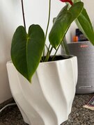 Фото из отзыва пользователя