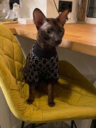 Фото из отзыва пользователя