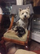 Фото из отзыва пользователя