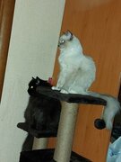 Фото из отзыва пользователя