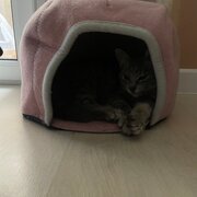 Фото из отзыва пользователя