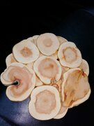 Фото из отзыва пользователя