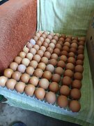 Фото из отзыва пользователя