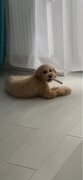Фото из отзыва пользователя