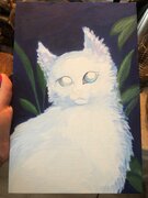 Фото из отзыва пользователя