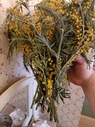 Фото из отзыва пользователя