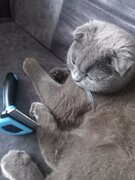 Фото из отзыва пользователя