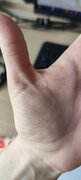 Фото из отзыва пользователя