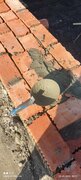 Фото из отзыва пользователя