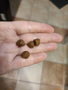 Фото из отзыва пользователя