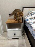 Фото из отзыва пользователя
