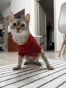 Фото из отзыва пользователя