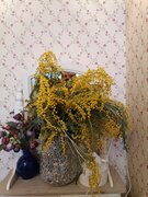 Фото из отзыва пользователя