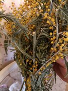 Фото из отзыва пользователя