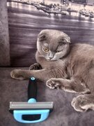 Фото из отзыва пользователя