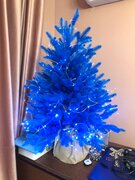 Фото из отзыва пользователя