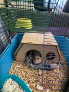 Фото из отзыва пользователя